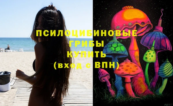 прущий лед Богородицк