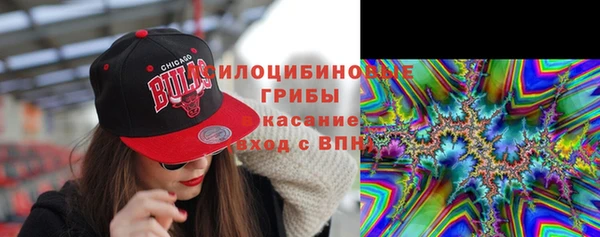 прущий лед Богородицк