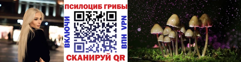 Галлюциногенные грибы мицелий  где продают наркотики  Верещагино 