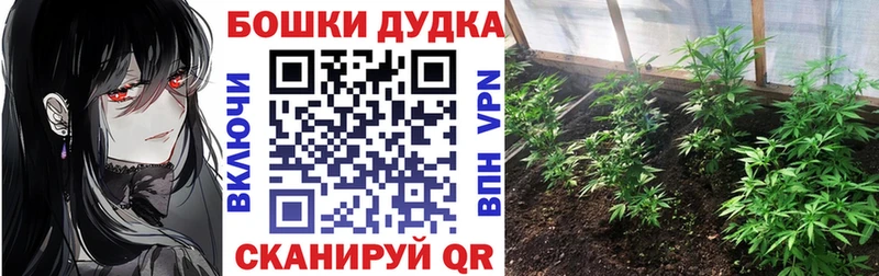цена   Верещагино  Бошки Шишки сатива 
